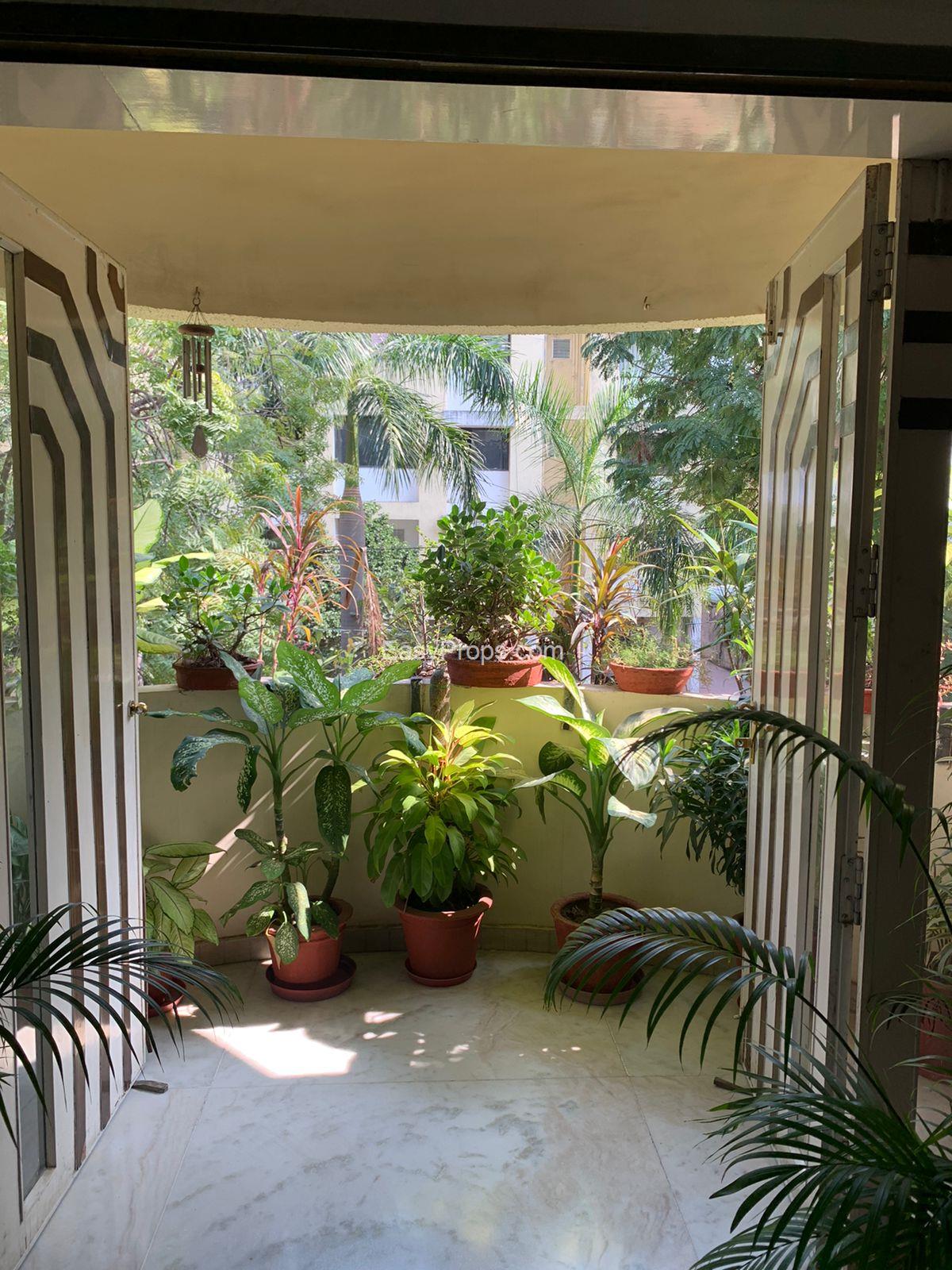 WhatsApp Image 2024-01-03 at 520240103183207468.jpeg